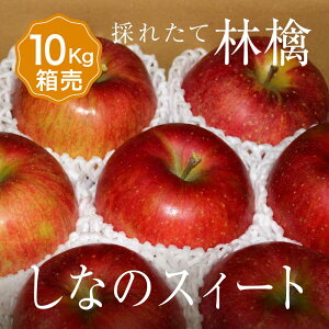 Ȃ̃XC[g y1 ڈ10kg 28`40ʓz  1    ܂Ƃߔ Zbg t[c ʕ {Y Y  Â x  O Mtg v[