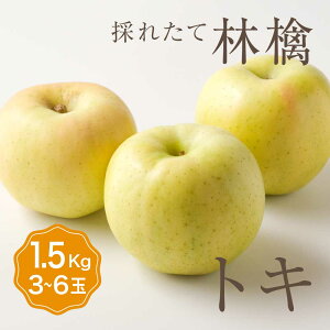 Pi  gL 1 ڈ1.5kg 3`6ʓ艩F   l p Hׂ Zbg t[c ʕ {Y Y  Â x  O Mtg v[g  i 