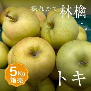 yz  gL 1 ڈ5kg 14`20ʓ艩F 1    ܂Ƃߔ Zbg t[c ʕ {Y Y  Â x  O Mtg v[