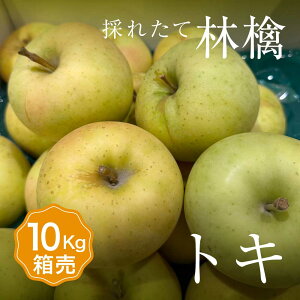  ygLz 1 ڈ10kg 28`40ʓ  yzF 1    ܂Ƃߔ Zbg t[c ʕ {Y Y  Â x  O Mtg v