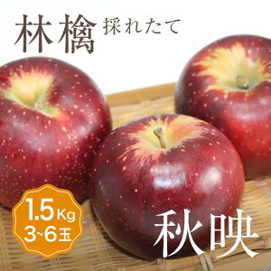 Pi  Hf 1 ڈ1.5kg 3`6ʓMB   l p Hׂ Zbg t[c ʕ {Y Y  Â x  O Mtg v[g  i 