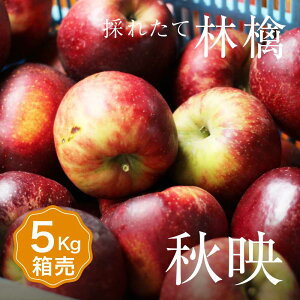 yz  Hf 1 ڈ5kg 14`20ʓMB 1    ܂Ƃߔ Zbg t[c ʕ {Y Y  Â x  O Mtg v[