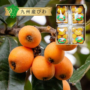 �y��B�Y�z�т� ���f 1�p�b�N 6�`7�ʓ��� / 8�p�b�N �Z�b�g ���������������Y �Ζ� �Y�n ���� �Y�� ���� �ʔ� ���� ������ �ʕ� �t���[�c �� �{ ���Y �G�� ���� ���n �ۑ� ���@ �H�ו� 