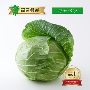 yLxczPi 1 / 1 10kg 5`8  1   ܂Ƃߔ Zbg {  n ۑ   O VN Nx Yn Y BY {Y F{  Y _