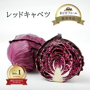 ybhLxcz ԃLxc Lxc 1 / 6`8ʓ  N[ ЂƋ 1  Pi ܂Ƃߔ Zbg  {  n ۑ VN Nx Y {Y _ _ Yn 