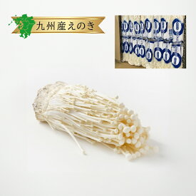 【九州産】えのき 3袋 / 1箱 約5kg 送料無料 クール便えのきだけ エノキ エノキダケ きのこ 九州産 博多 福岡産 福岡県 農家 農園 生産者 産地 直送 直売 産直 取り寄せ お取り寄せ 通販 ネット 販売 購入 少量 自宅用 個人 箱買い 箱売り まとめ買い 業務用 量