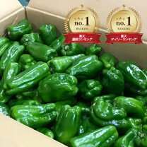 楽天市場】ピーマン 肉厚（野菜・きのこ｜食品）の通販