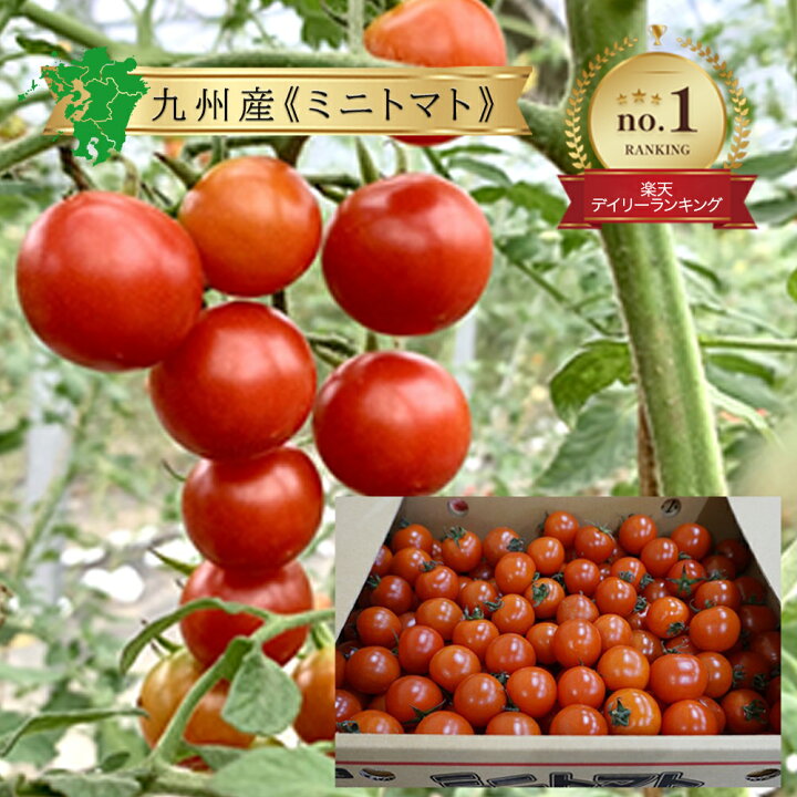 楽天市場】【ミニトマト】箱売り 3kg 送料無料 産地直送 国産 九州産 