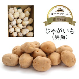 楽天スーパーSALE限定【10%OFF】じゃがいも 男爵 九州産 単品 1kg / 1箱 約10kg 送料無料食べ切り 自宅用 業務用 箱買い 箱売り まとめ買い 男爵いも ジャガイモ じゃが芋 新じゃが 新じゃがいも 業務用 農家 農園 産地 産直 直売 直送 通販 野菜 生産者