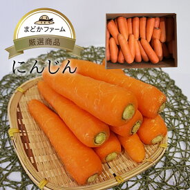 にんじん 九州産 熊本県産ほか 送料無料 箱売り 1箱 10kg / 送料別 1kg 単品 食べ切り人参 箱買い 箱売り まとめ買い 業務用 大容量 お徳用 本 セット 農家 農園 産地 産直 直売 直送 通販 野菜 生産者