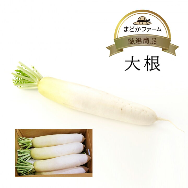 楽天市場】【大根】 九州産 信州産 箱売り 1箱 10kg 送料無料 / 送料別 