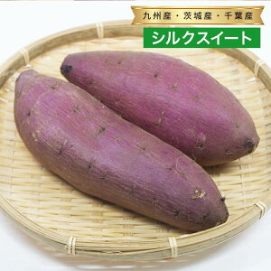 yz VNXC[g ܂ 1 10kg 40`50{  Y tY BY  ܂Ƃߔ   O ʔ li i Ɩp lC  b  