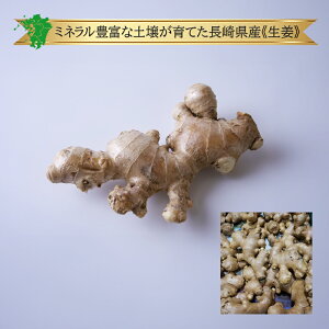 y茧Y z傤 I Pi 1kg 1 4kg Y { Ɩp ܂Ƃߔ  p e   lC b R~ N`R~ LO   i ʔ