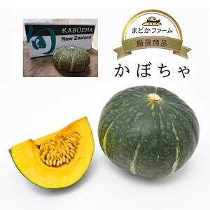 yzڂ Z 1 / 1 10kg 4`7 OY j[W[hY LVRY Ai A J{`  Pi ƒp Ɩp  ܂Ƃߔ    _ _ 