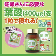 ≪葉酸＋ヘム鉄＋DHA 14粒入プレゼント≫葉酸＋ヘム鉄＋DHA 90粒入（お徳用3ヶ月分）合成着色料・香料・…