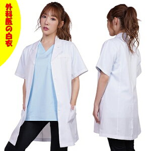 OȈ̔ nEB hN^[ ߑ p[eB  fB[X KA0276WH