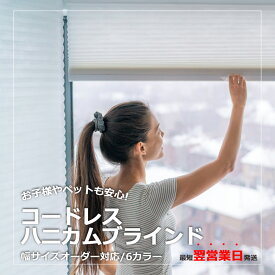 【最短翌営業日出荷】幅61- 90x丈122/210cm ハニカムスクリーン コードレス ブラインド シェード オーダー 断熱 セーブ2 透過生地/遮光一級/ベーシック/上下開閉 プリーツ スクリーン ハニカム構造シェード 採光 コードレス カーテンレール 納期が早い すぐ届く