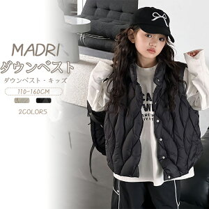 _ExXg LbY q ̎q j̎q LbY R[g xr[ AE^[ Ci[xXg Ci[_E  n WjA  j g n ؍q ubN x[W y t