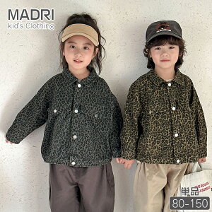 yMADRIzZ yA qE VcWPbg LbY t H ؍q xr[  j̎q ̎q  I[o[TCY AE^[ Ip[h _bNO[ J[LO[ 