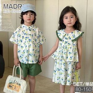  􉽕 O[ LbY ĕ 킢 yA ؍q  Z j̎q ̎q  w[lbN Vc  n[tpc tFCNC[h s[X Z[[  