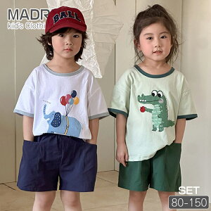  ɕ LbY ĕ 킢 yA ؍q  Z j̎q ̎q   tVc n[tpc ㉺Zbg O[ lCr[ JWA 100 xr[ Ԃ 