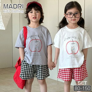 S LbY ĕ 킢 yA ؍q  Z j̎q ̎q   tVc n[tpc `FbN Zp ㉺Zbg O[ zCg bh JWA 100 x