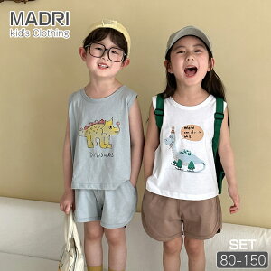 Aj LbY ĕ W[W ㉺Zbg vg ^Ngbv V[gpc ZbgAbv ؍q 킢 ̎q j̎q Ȃ 100 Rbg  X|[c zCg 