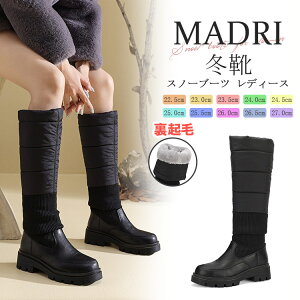 O Xm[u[c fB[X Ou[c ̎q WjA Xm[u[c O C 킢  EFbW\[ Ȃ h h ~C  ӂӂ N kC s 