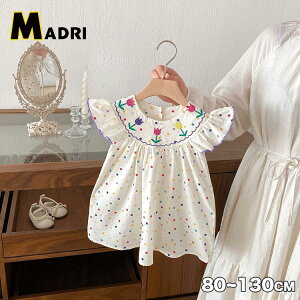 xr[s[X LbY s[X ̎q   m qǂ ؍q 킢 Ԃ ʉ ʊw o čՂ xr[ hbgE ԕ hJ tJ[ ĕ q Lb