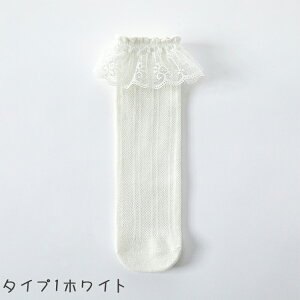 C ̎q tH[} C G qC n \bNX nC\bNX   t [X  c WjA [^ hX 3^CvWJ   5g 6g ʉʊw JWA 