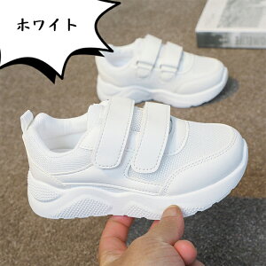 X|[cC xr[ Xj[J[ LbY V[Y _XV[Y JWAV[Y q ^C Pl w ^p ̎qj̎q Xg[g Vv bV ʉ ʊw y LbY_