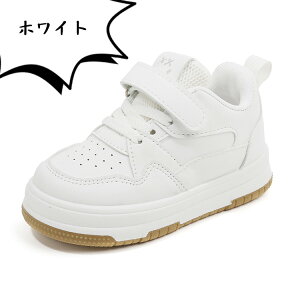 X|[cC xr[ Xj[J[ LbY V[Y _XV[Y JWAV[Y q ^C Pl w ^p ̎qj̎q Xg[g Vv bV ʉ ʊw y LbY_