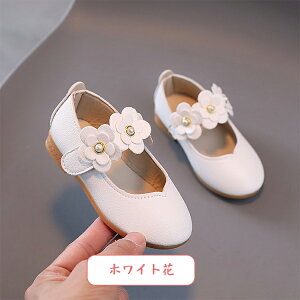 q C hXV[Y tH[} V[Y ̎q pvX q  vC   WjA    t sAm\  RXv  Pl tbgV[Y