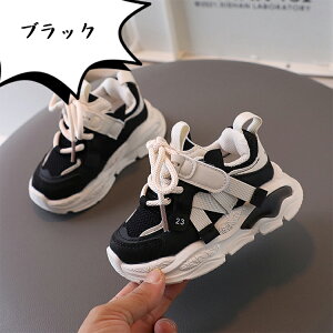 X|[cC Xj[J[ LbY V[Y xr[ _XXj[J[  ^C w ʉ ʊw y Xg[g JWAV[Y q jp ₷  LbY_Xߑ ʋC