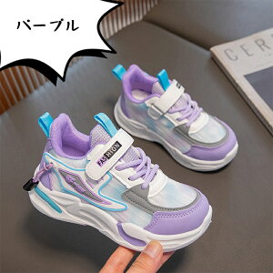 yꕔ[zX|[cC Xj[J[ LbY _XV[Y JWAV[Y q jOV[Y ̎q ^C  i w bV ʉ ʊw y  LbY_X