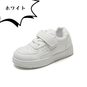 yꕔ[z_XV[Y X|[c C  Xj[J[ ^ LbY JWA V[Y q K n jp ^C i w ʉ ʊw y  qC LbY_X q