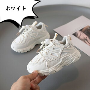 _XV[Y X|[cC Xj[J[ LbY JWAV[Y q jOV[Y bV n jp ^C i SR ₷ w ʉ ʊw y  RۖhL