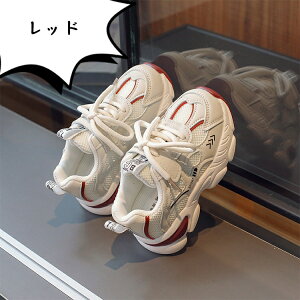 _XXj[J[ X|[cC LbYV[Y jOV[Y bV ^C jp w ^p ʉ ʊw y X|[c ~ JWAV[Y q LbY_Xߑ 