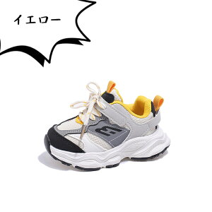 _X V[Y Xj[J[ LbY jp ^C xr[ JWAV[Y q bV Xg[g w ^p ʉ ʊw y  _bhXj[J[ LbY_Xߑ ʋC 