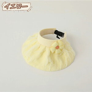 Xq LbY   q UVJbg nbg xr[ Xq Tnbg oCU[Lbv ToCU[ ΍L WjA Vv ̎q   Xq qp  ʋC  w 