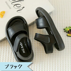 qT_ ̎q j̎q OJT_ Xgbv T_ LbY xr[ T_  ؍ \ ʉ ʊw  v[ C r[` qp V[Y ʋC  y qǂC 