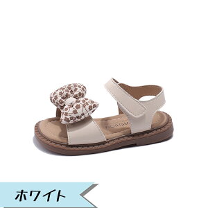 T_ ̎q qT_  OJT_ Xgbv T_ ԕ ʃt@Xi[ LbY T_ Vv ؍ \ ʉ ʊw  v[ C r[` qp V[Y y