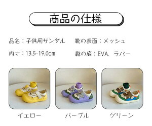 }WbNe[v T_ LbY ̎q  ₷ q T_ j̎q X|[cT_ LbY xr[ T_ ČC ʋC 㗚 q JWA ct ۈ牀 킮 