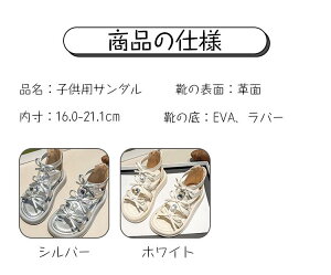 LbY T_ ̎q 킢 ҂ݏグ T_  qT_ q[ ɂȂ T_ xr[ ₷  V V[Y ʉ ʊw JWA w qp qC T