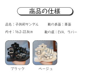 LbY T_ ̎q 킢 ҂ݏグ T_   qT_ ɂȂ T_ xr[ t@Xi[ T_ ₷  V V[Y ʉ ʊw JWA w 