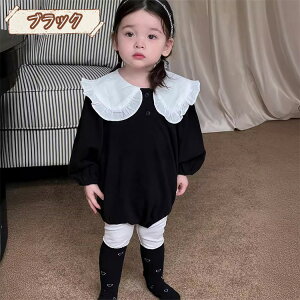 p[X Ԃ Jo[I[ xr[ V j̎q̎q p[X V ؍xr[  Vv tďH ubN  [X Z[[  Pl  o o