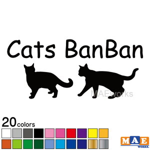 S20F ˂oo JbeBOXebJ[ }G[NXIWiXebJ[ Loo LV[ NBC-16