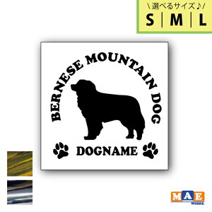 yIׂ3TCYIz⃁bLJ[ hbOVGbg JbeBOXebJ[ ꖳ o[j[Y }EehbO   V[ l[ ybg  킢 O }G[N