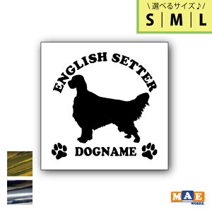 yIׂ3TCYIz⃁bLJ[ hbOVGbg JbeBOXebJ[ ꖳ CObVZ^[   V[ l[ ybg  킢 O }G[NXI