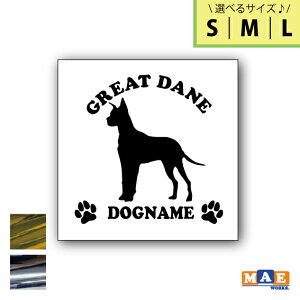 yIׂ3TCYIz⃁bLJ[ hbOVGbg JbeBOXebJ[ ꖳ O[gf   V[ l[ ybg  킢 O }G[NXIWi DS-3